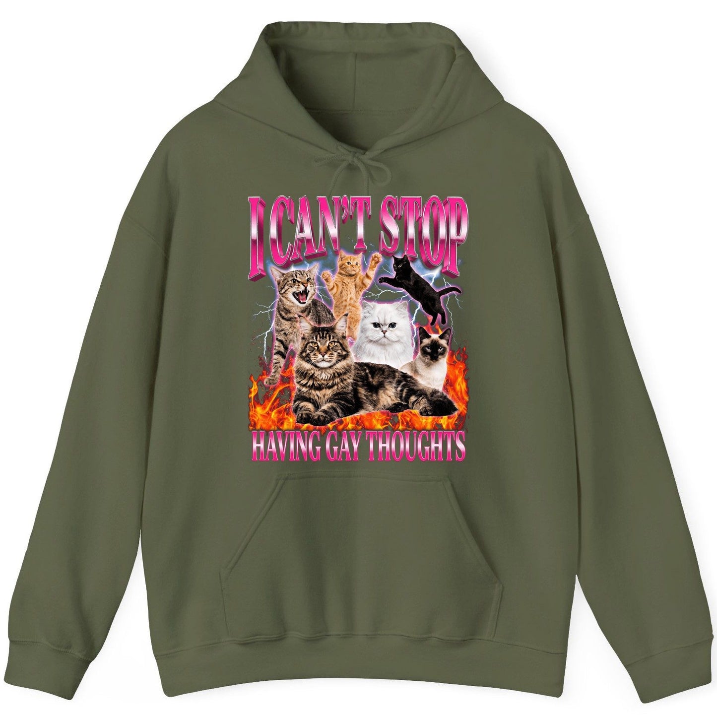 I Can't Stop Having Gay Thoughts cats Hoodie Military Green product mockup