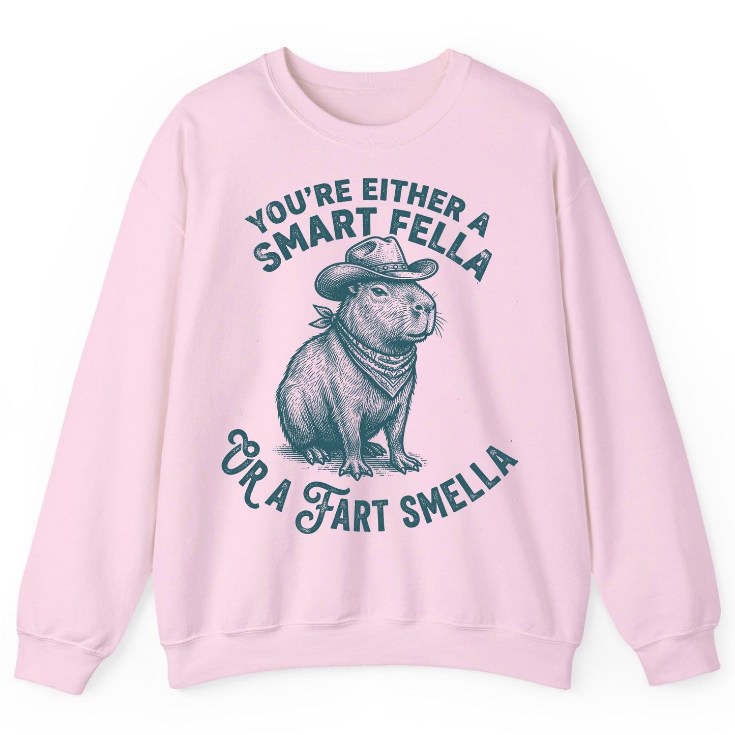 You're Either a Smart Fella or a Fart Smella capybara Sweatshirt Light Pink product mockup