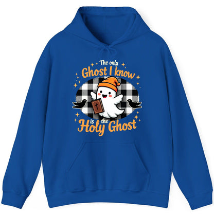The Only Ghost I Know Is the Holy Ghost christian Halloween Hoodie Royal product mockup