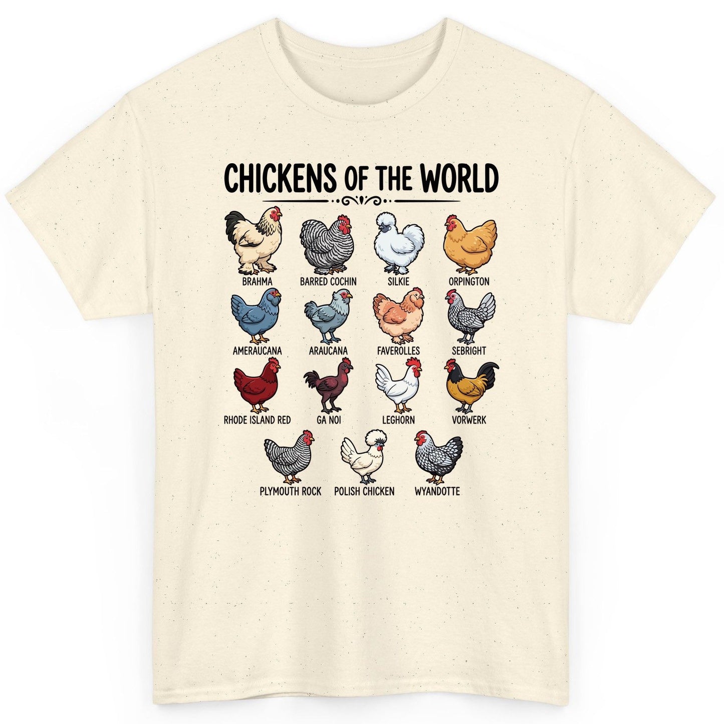 Breeds of the World, Brahma, Barred Cochin, Silkie, Orpington, Ameraucana, Araucana, Faverolles, Sebright, Rhode Island Red,