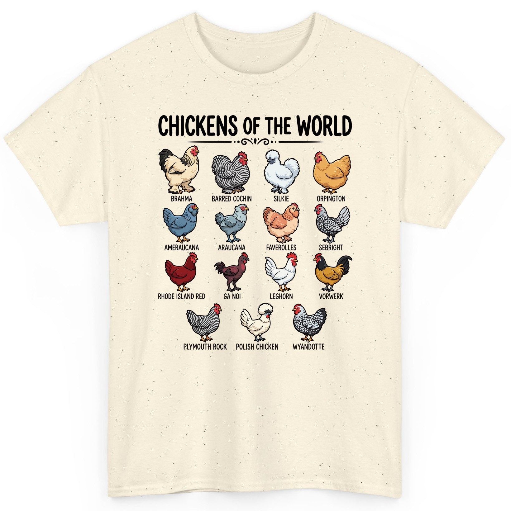 Breeds of the World, Brahma, Barred Cochin, Silkie, Orpington, Ameraucana, Araucana, Faverolles, Sebright, Rhode Island Red,