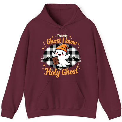The Only Ghost I Know Is the Holy Ghost christian Halloween Hoodie Maroon product mockup