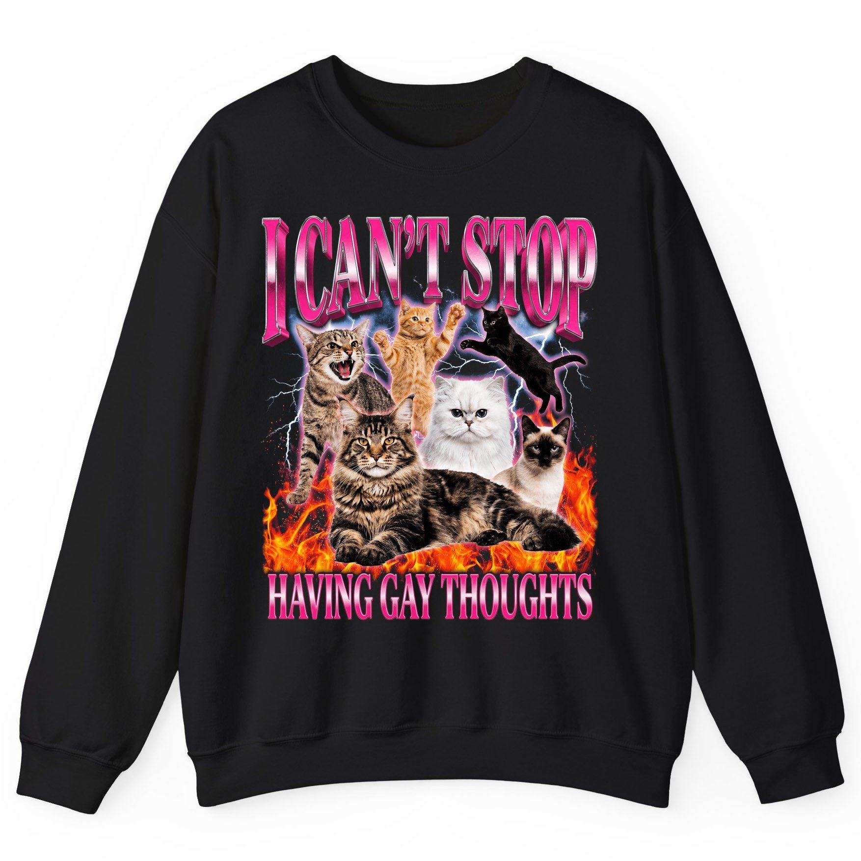 I Can't Stop Having Gay Thoughts cats Sweatshirt Black product mockup