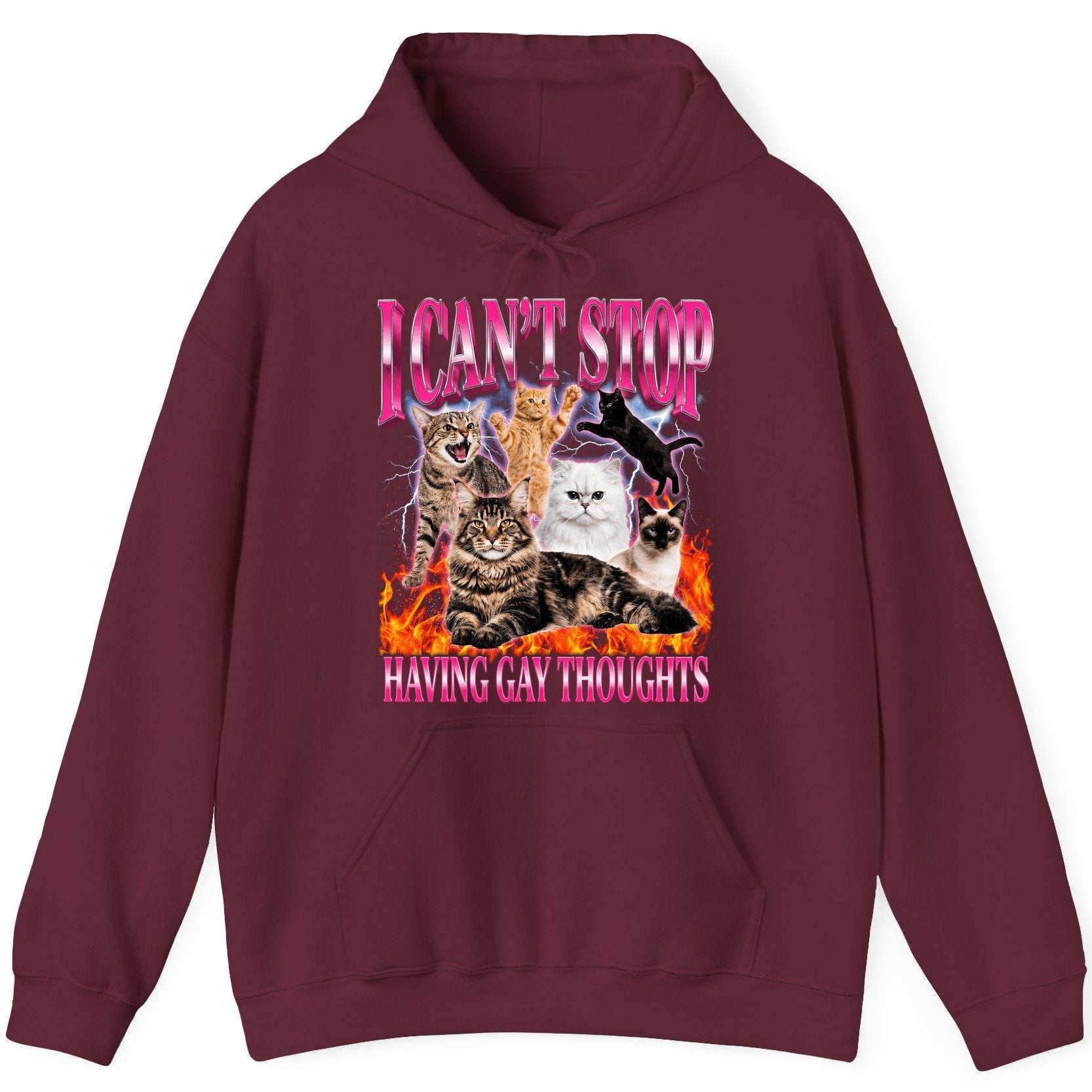I Can't Stop Having Gay Thoughts cats Hoodie Maroon product mockup