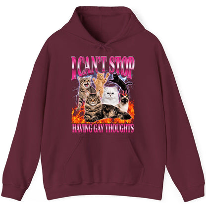 I Can't Stop Having Gay Thoughts cats Hoodie Maroon product mockup