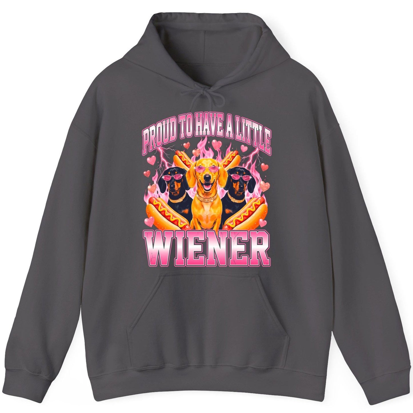 Proud to Have a Little Wiener dachshund Hoodie Charcoal product mockup