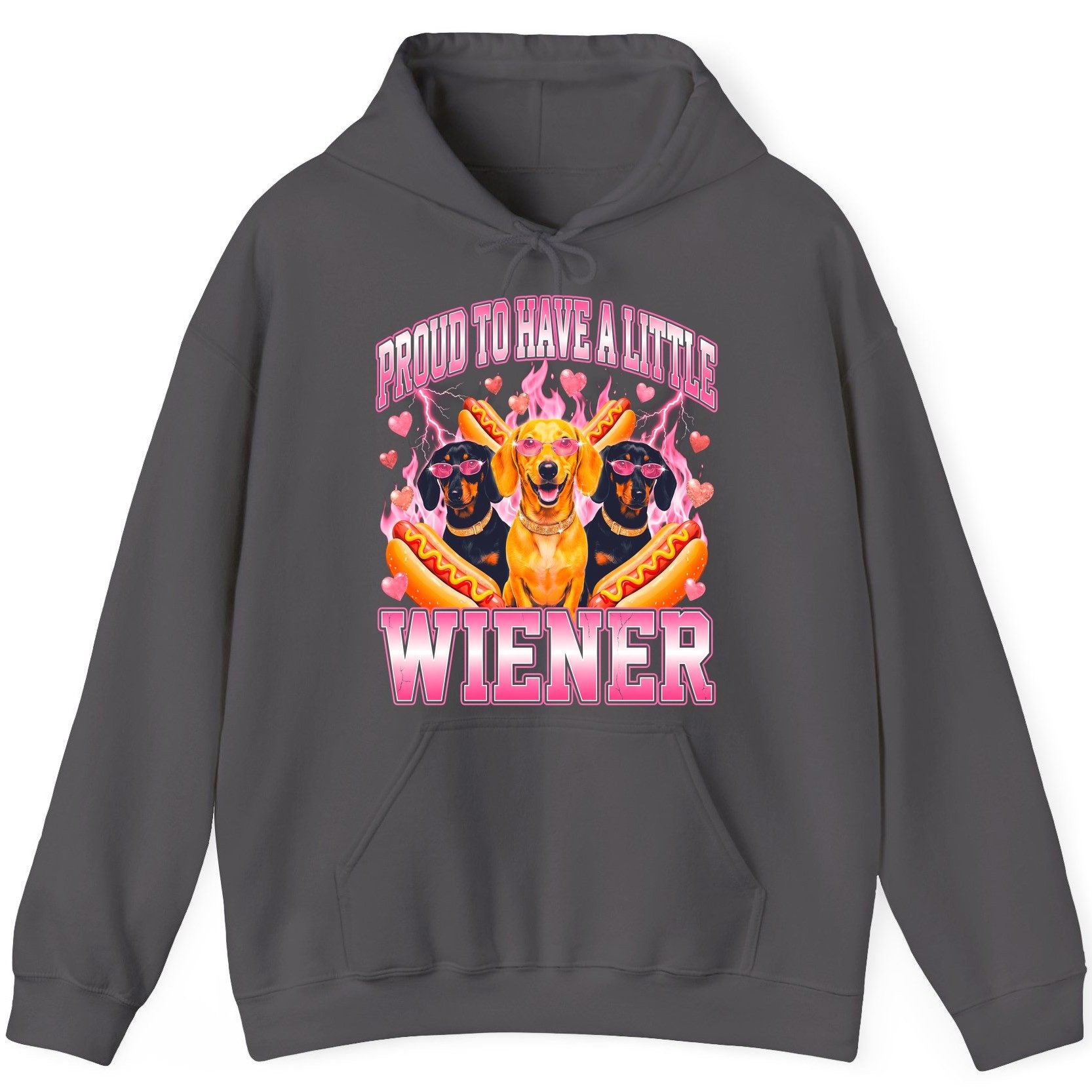 Proud to Have a Little Wiener dachshund Hoodie Charcoal product mockup