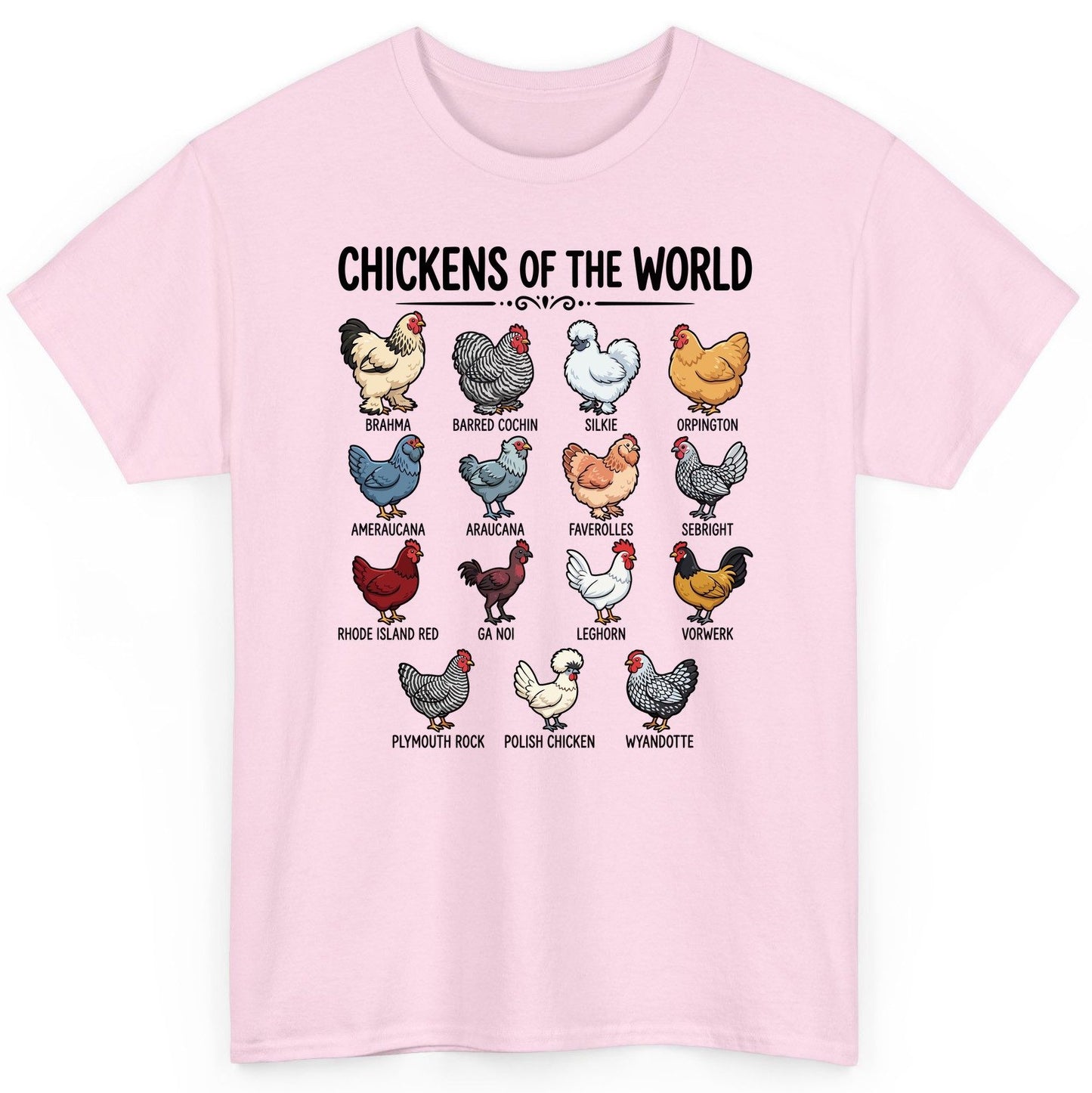 Breeds of the World, Brahma, Barred Cochin, Silkie, Orpington, Ameraucana, Araucana, Faverolles, Sebright, Rhode Island Red,