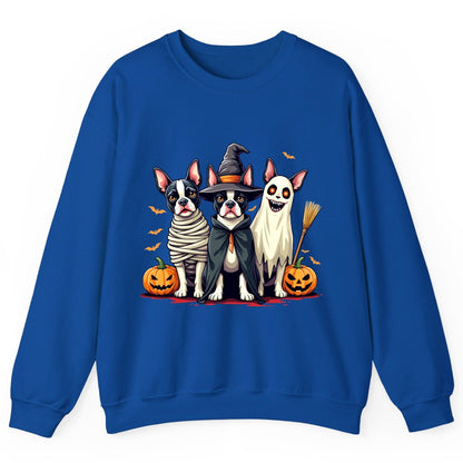 Halloween Boston Terrier Trio boston terrier Sweatshirt Royal product mockup