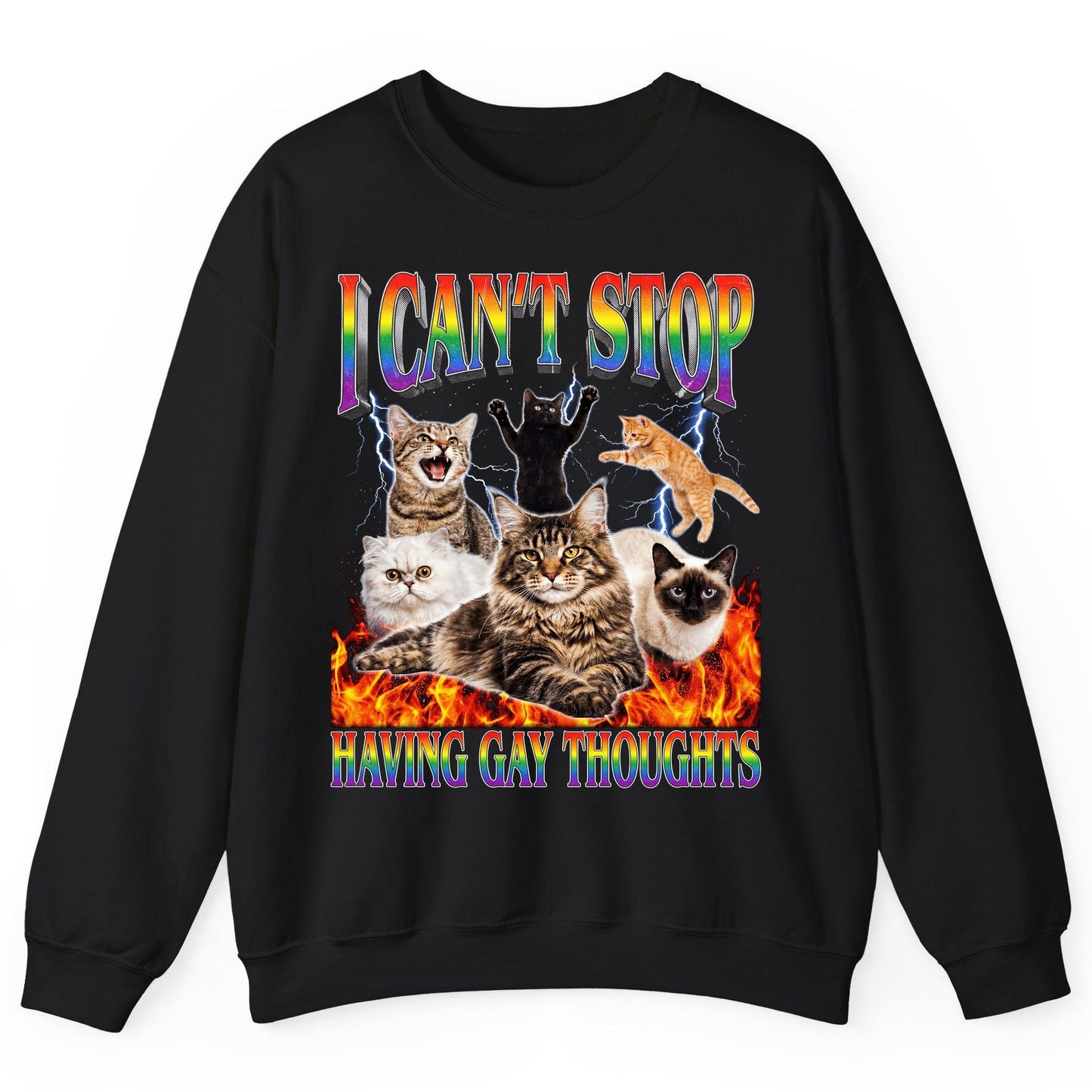 I Can't Stop Having Gay Thoughts cats Sweatshirt Black product mockup