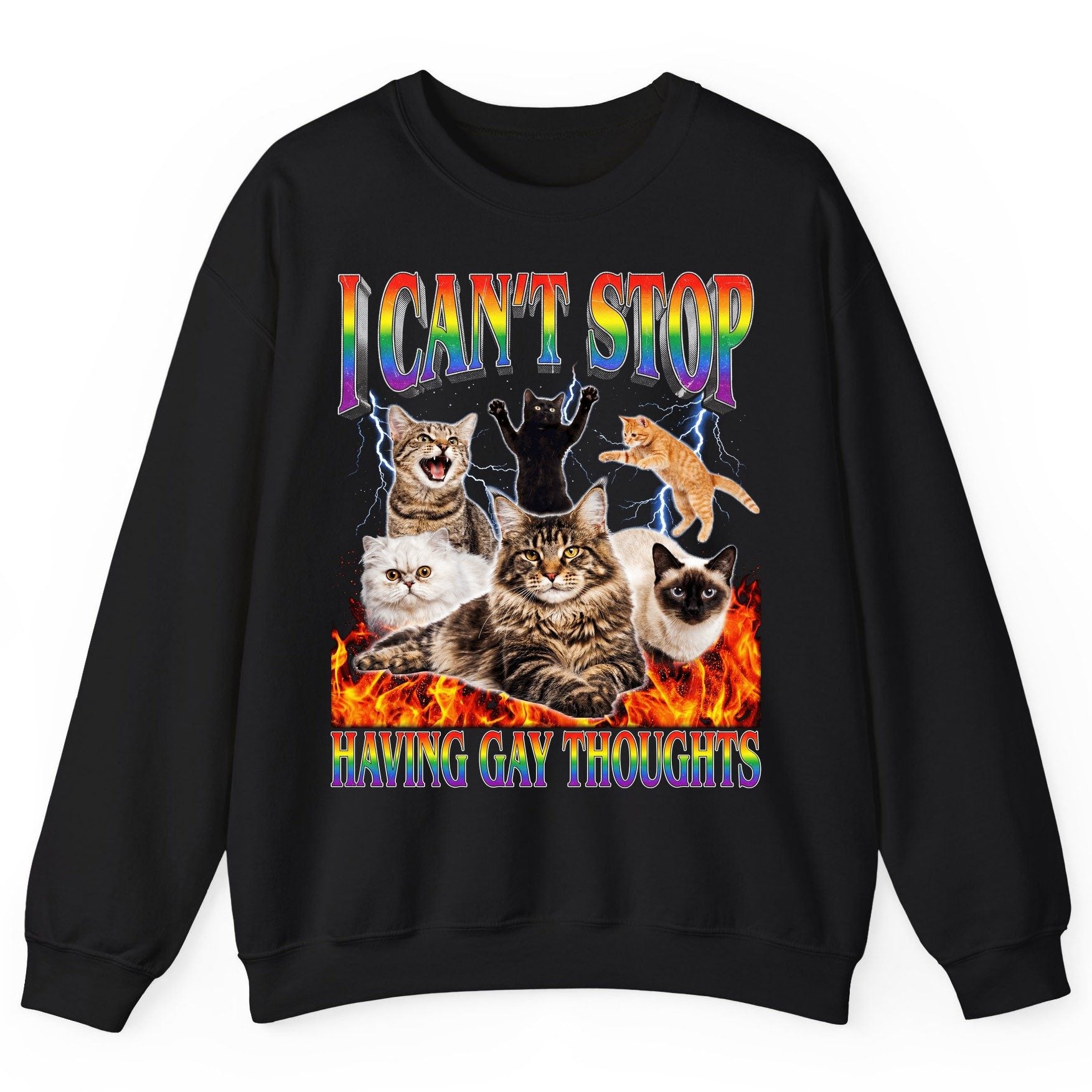 I Can't Stop Having Gay Thoughts cats Sweatshirt Black product mockup