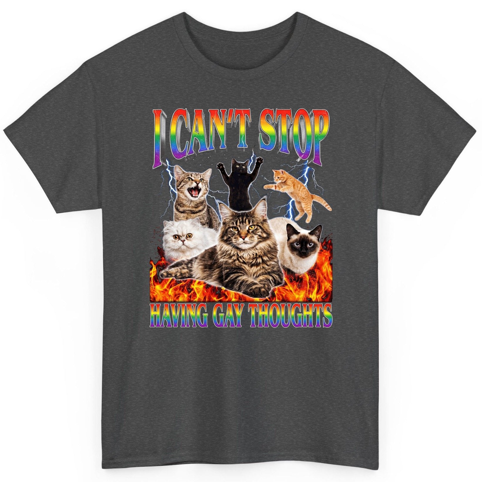 I Can't Stop Having Gay Thoughts cats T-Shirt Dark Heather product mockup