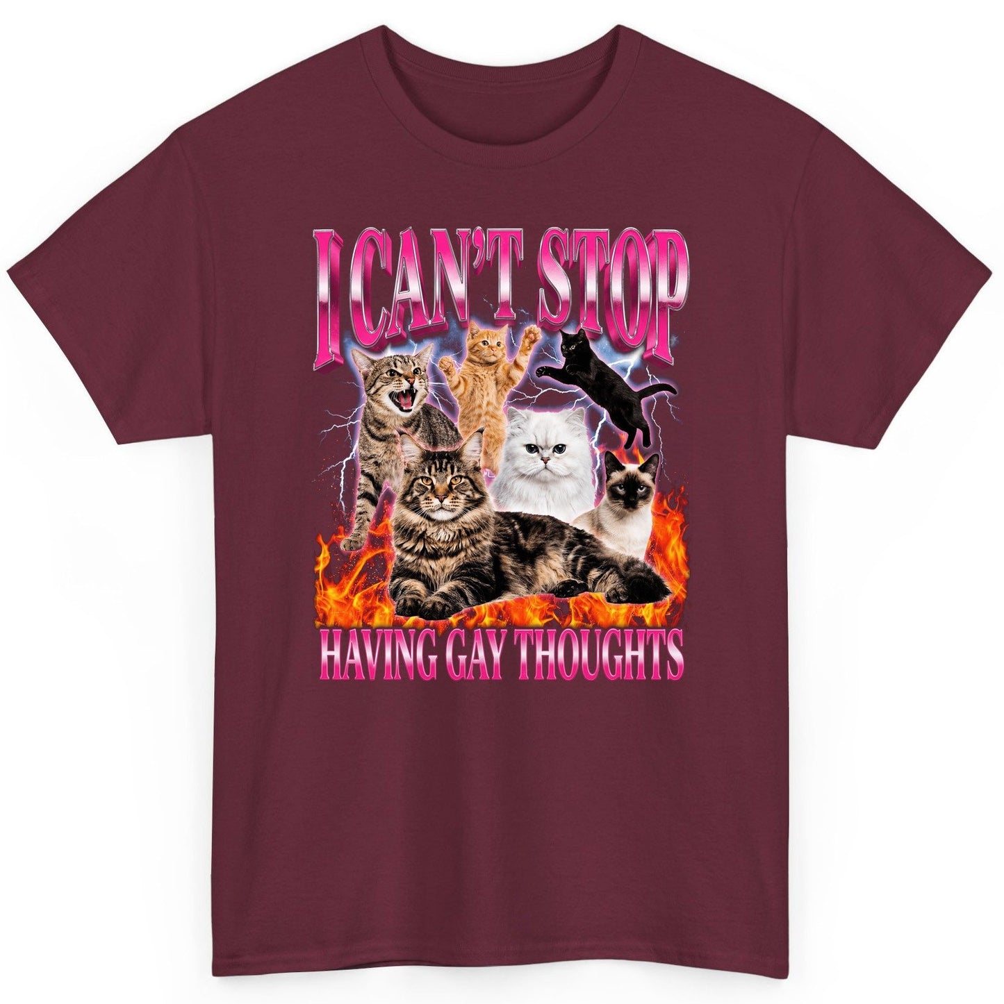 I Can't Stop Having Gay Thoughts cats T-Shirt Maroon product mockup