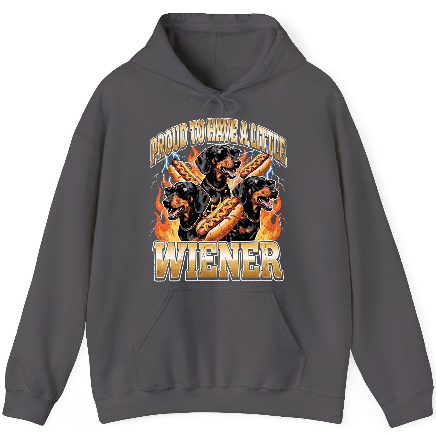Proud to Have a Little Wiener dachshund Hoodie Charcoal product mockup