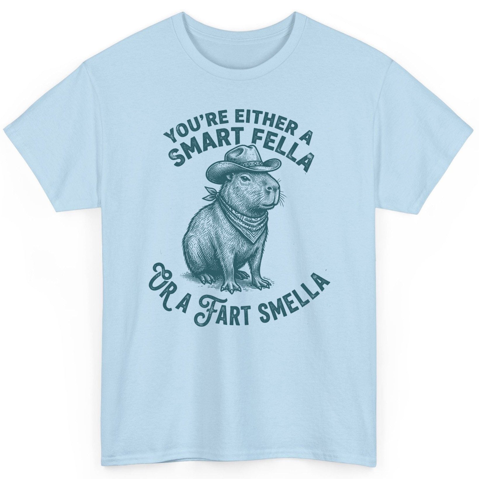 You're Either a Smart Fella or a Fart Smella capybara T-Shirt Light Blue product mockup