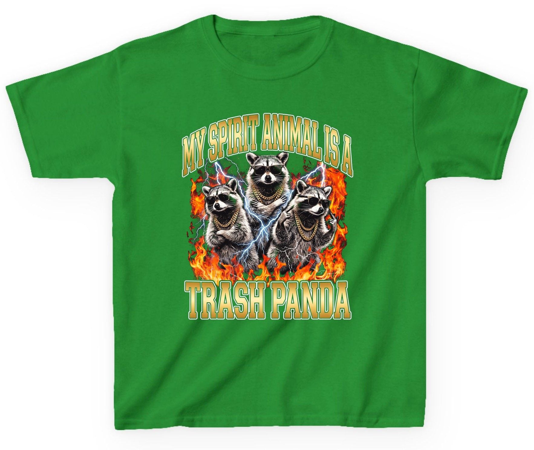 My Spirit Animal Is a Trash Panda raccoon Youth T-Shirt Irish Green product mockup
