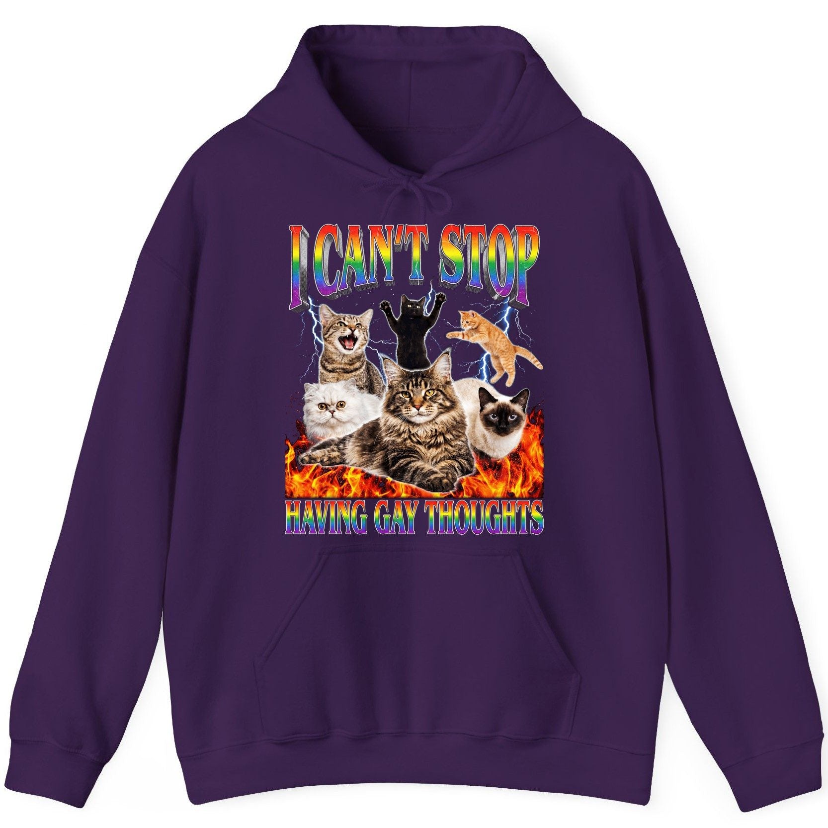 I Can't Stop Having Gay Thoughts cats Hoodie Purple product mockup