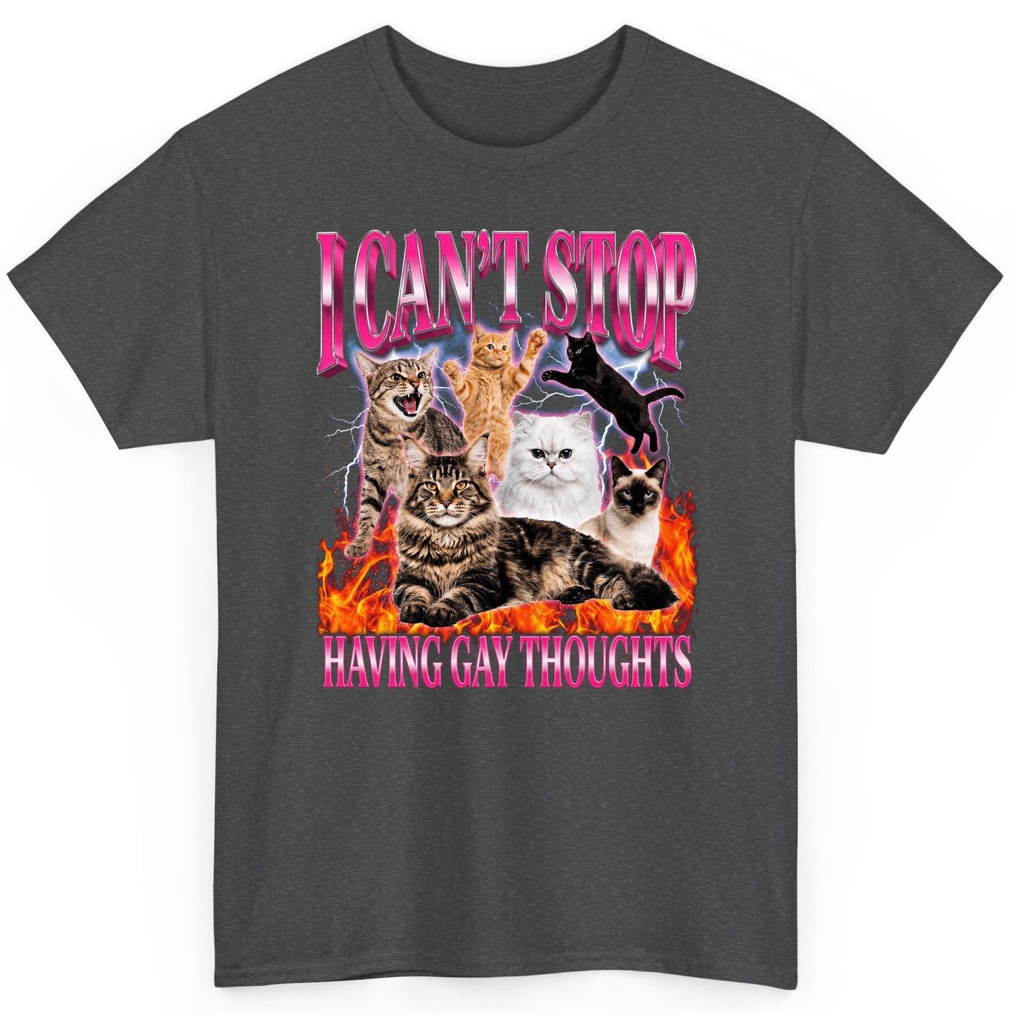 I Can't Stop Having Gay Thoughts cats T-Shirt Dark Heather product mockup