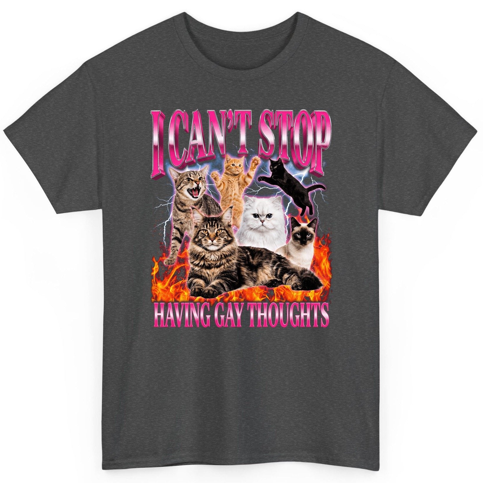 I Can't Stop Having Gay Thoughts cats T-Shirt Dark Heather product mockup