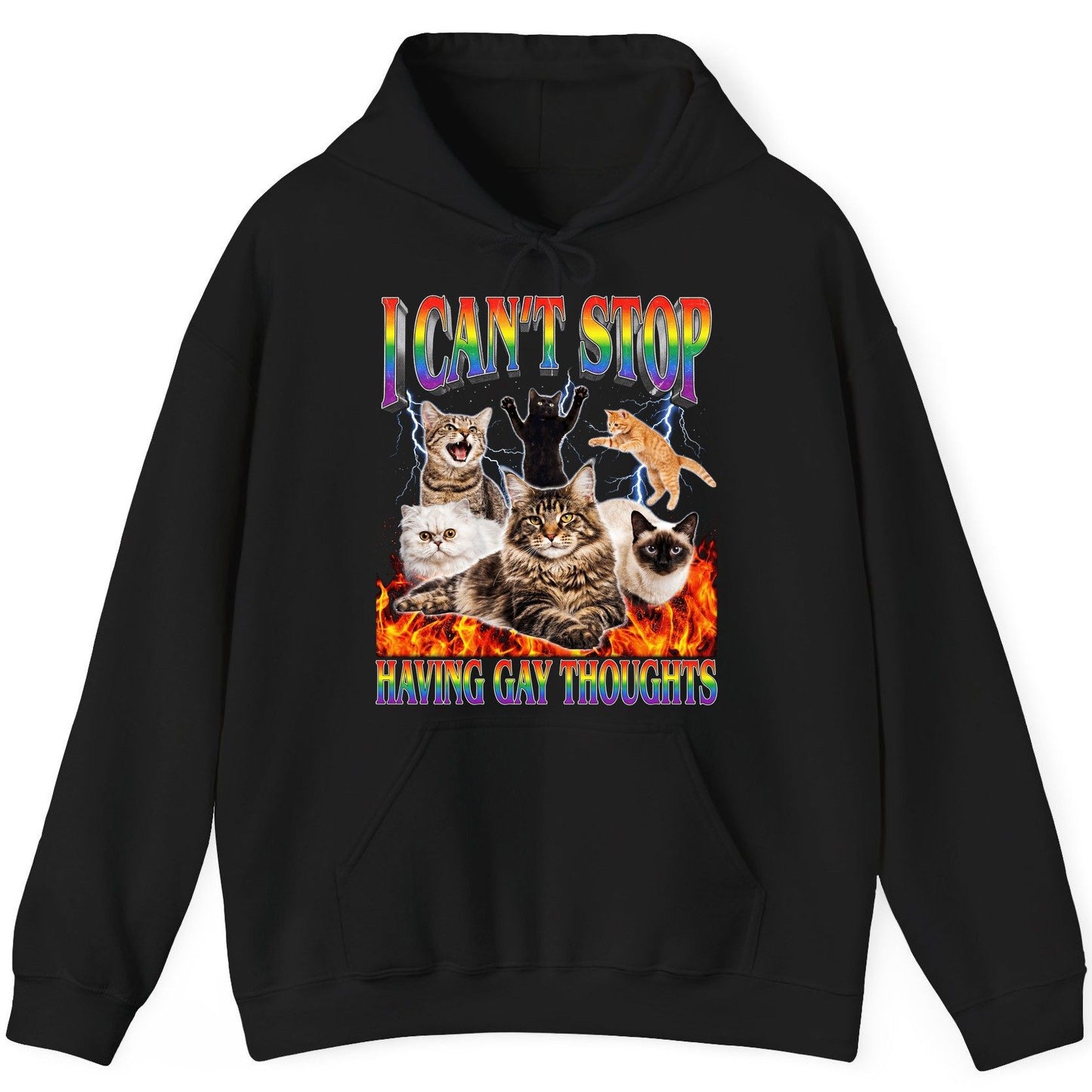 I Can't Stop Having Gay Thoughts cats Hoodie Black product mockup