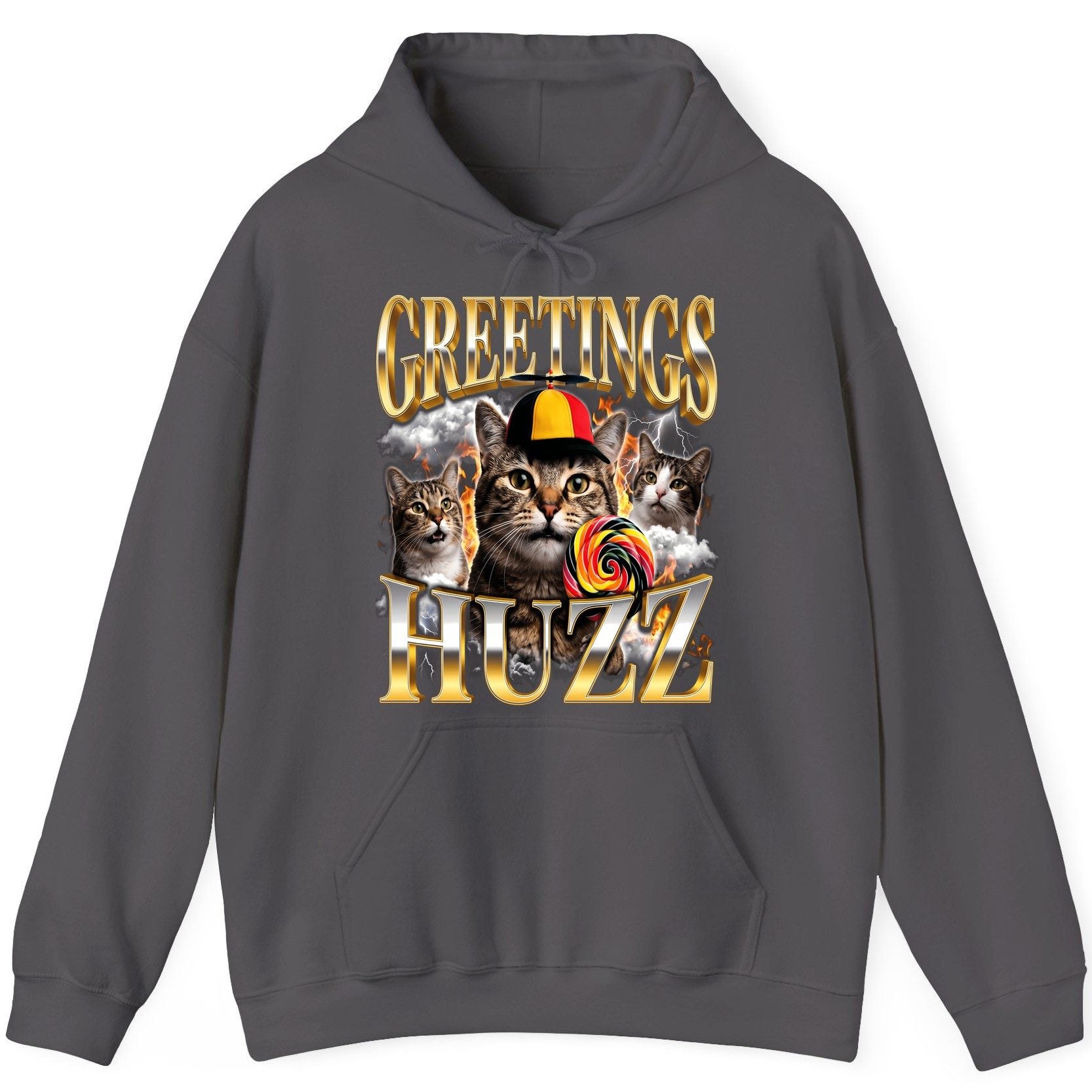Greetings HUZZ Funny Cats Hoodie - product mockup - Charcoal