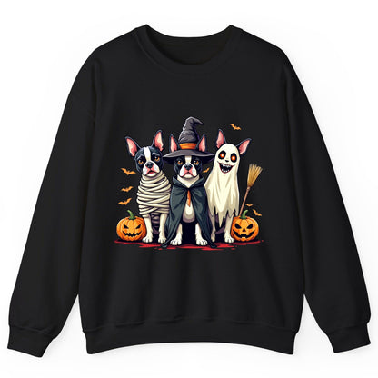Halloween Boston Terrier Trio boston terrier Sweatshirt Black product mockup