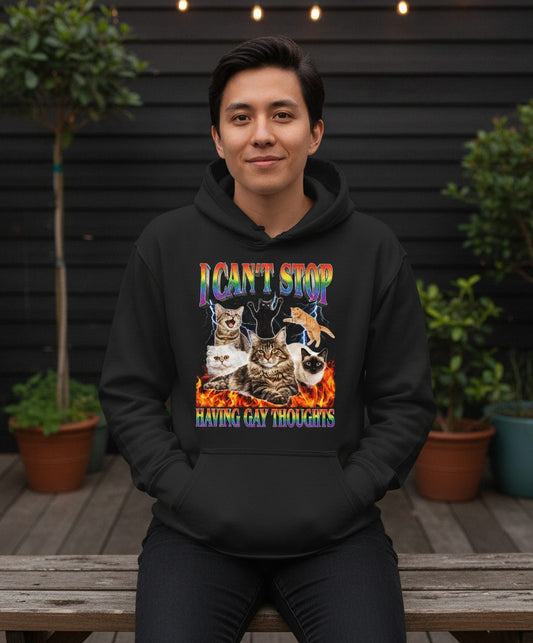 I Can't Stop Having Gay Thoughts cats Hoodie Black lifestyle mockup