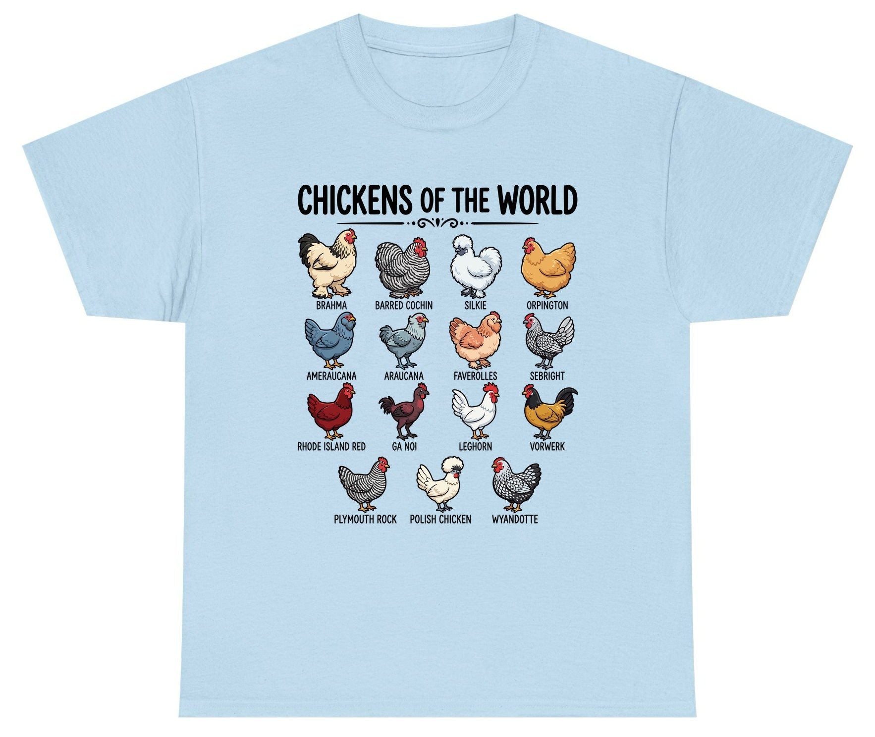 Breeds of the World, Brahma, Barred Cochin, Silkie, Orpington, Ameraucana, Araucana, Faverolles, Sebright, Rhode Island Red,