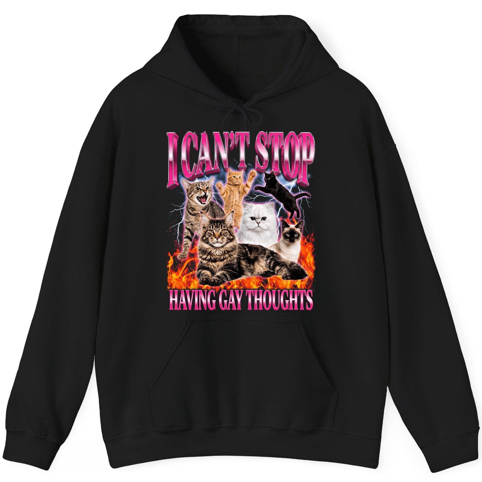 I Can't Stop Having Gay Thoughts cats Hoodie Black product mockup