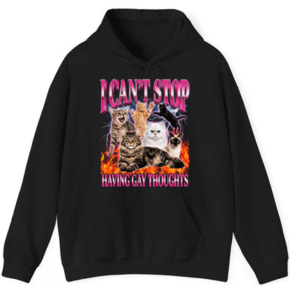 I Can't Stop Having Gay Thoughts cats Hoodie Black product mockup