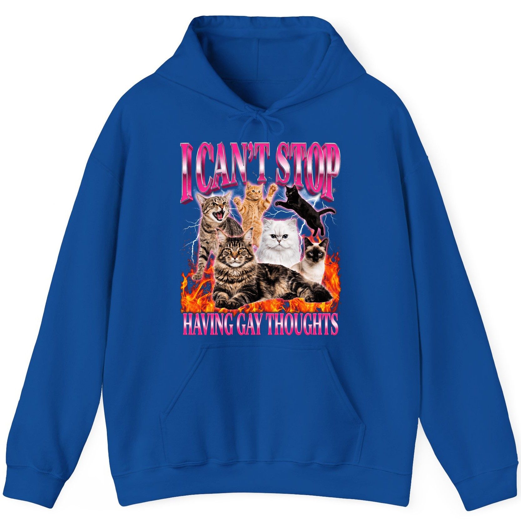 I Can't Stop Having Gay Thoughts cats Hoodie Royal product mockup