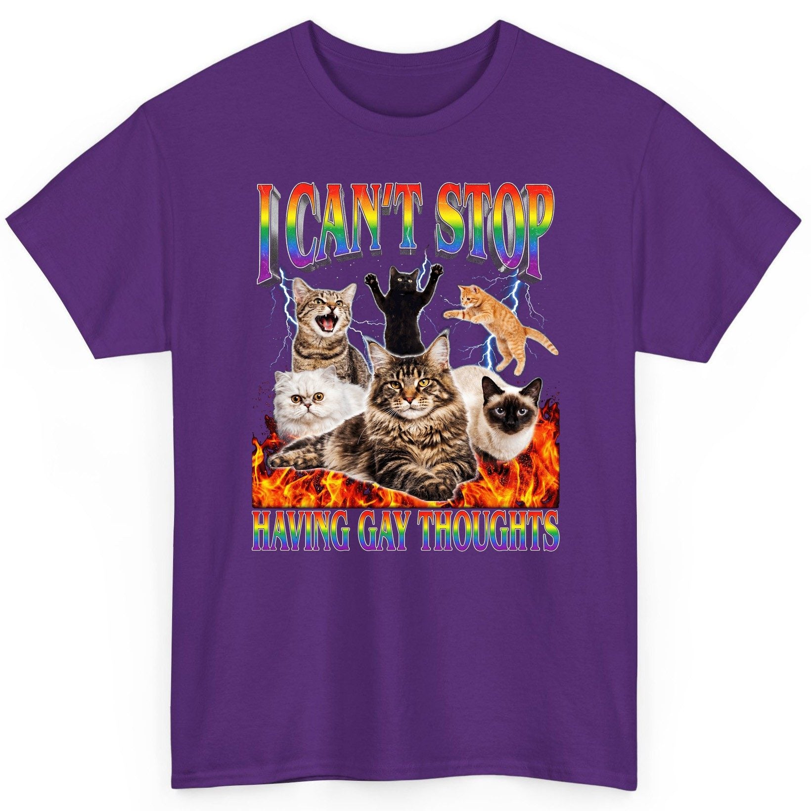I Can't Stop Having Gay Thoughts cats T-Shirt Purple product mockup