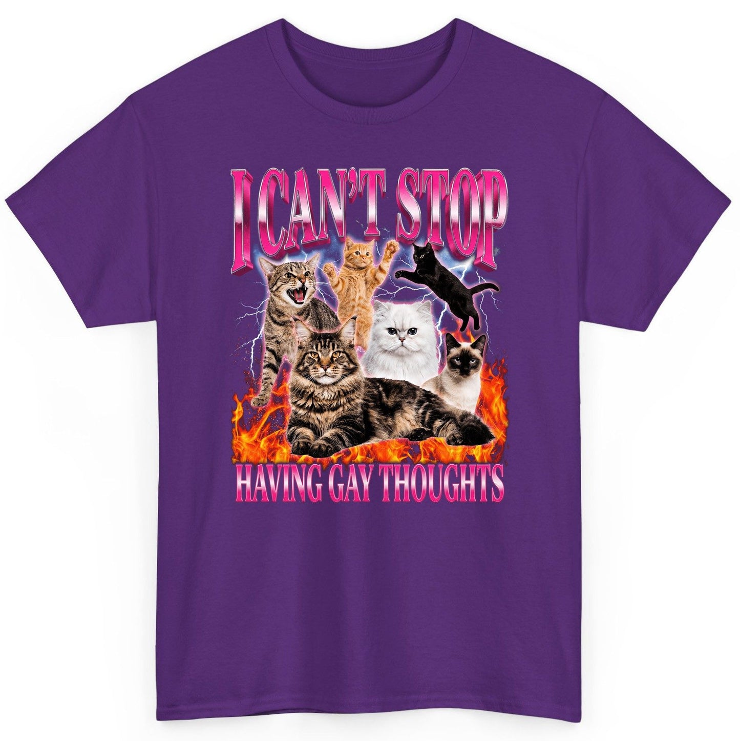 I Can't Stop Having Gay Thoughts cats T-Shirt Purple product mockup