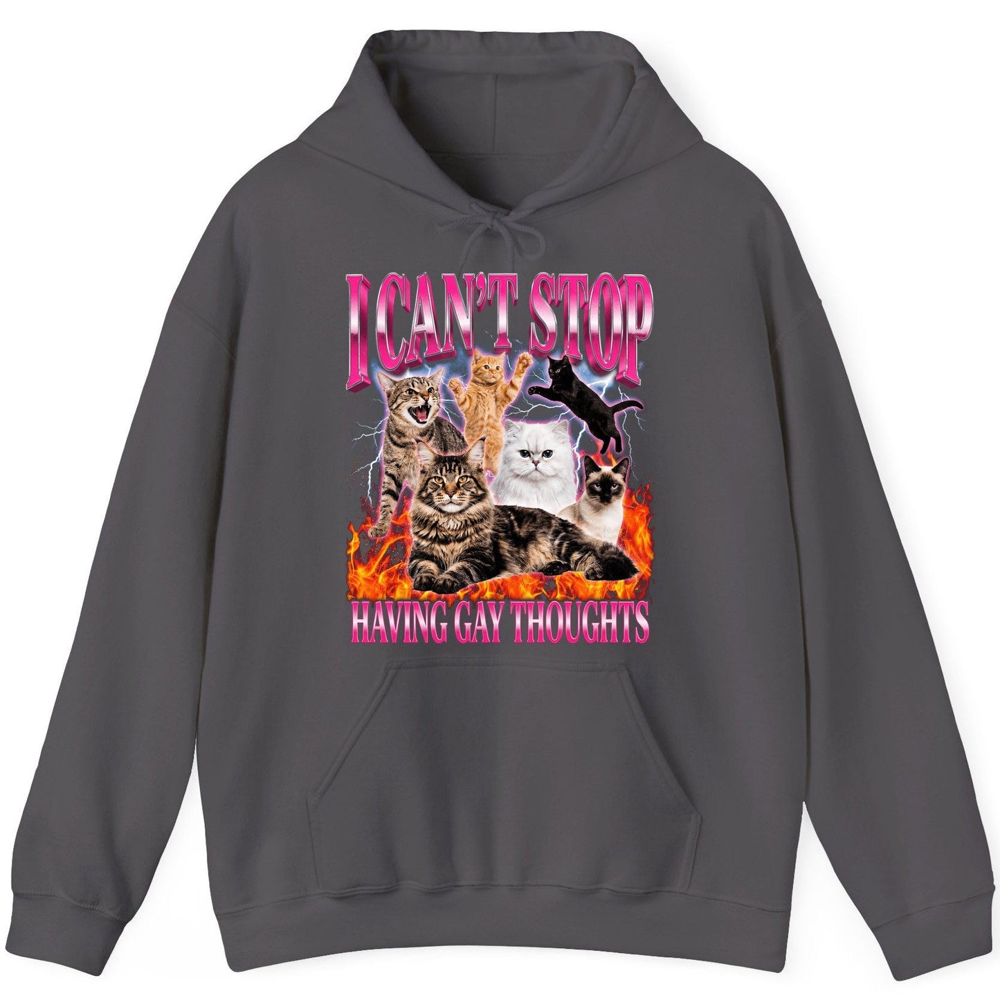 I Can't Stop Having Gay Thoughts cats Hoodie Charcoal product mockup