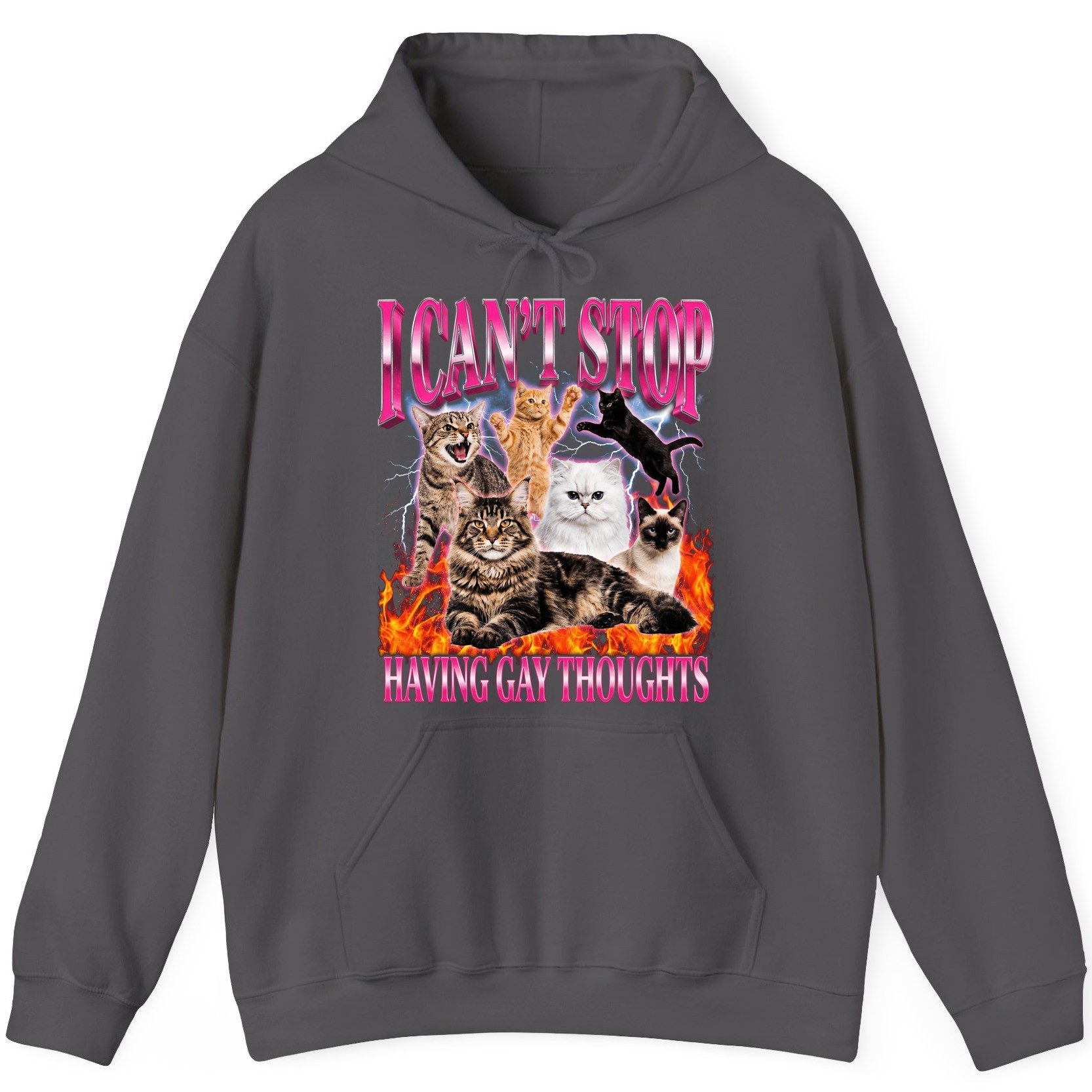 I Can't Stop Having Gay Thoughts cats Hoodie Charcoal product mockup