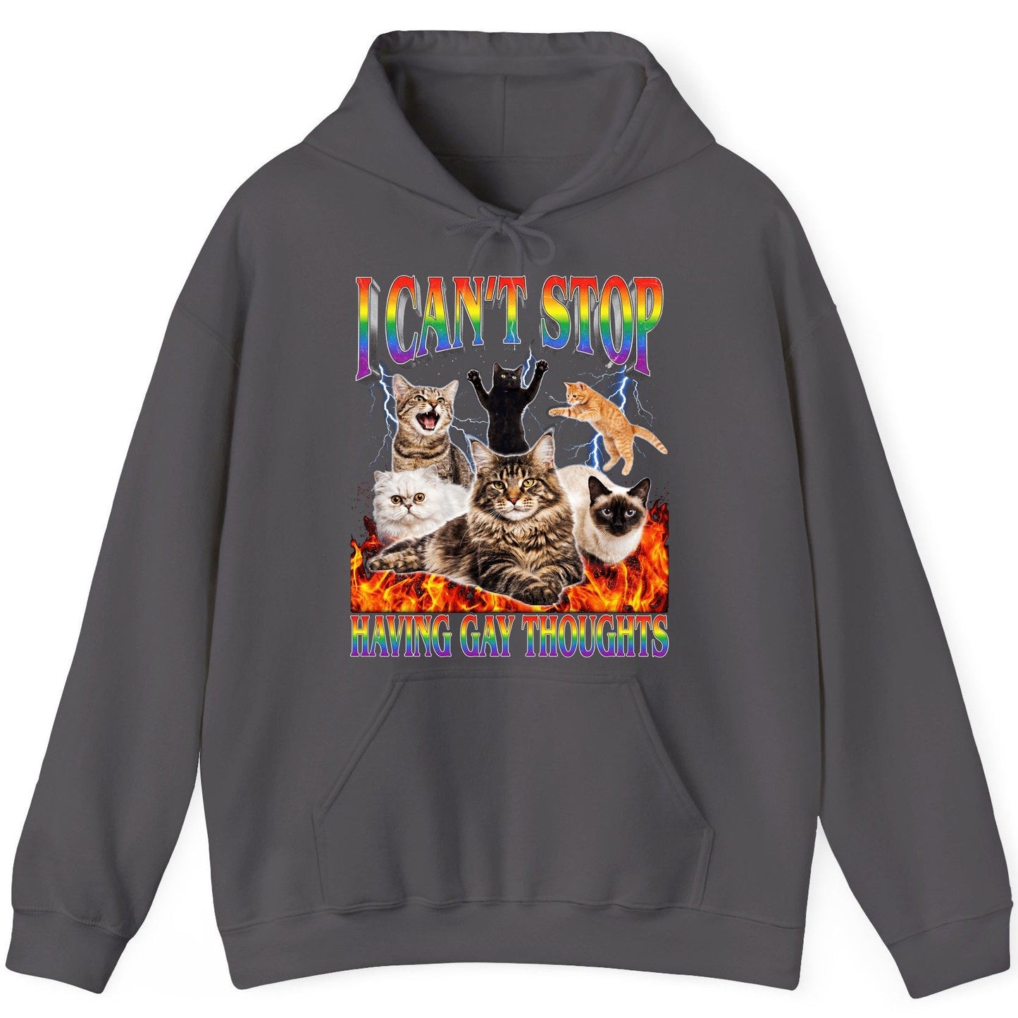 I Can't Stop Having Gay Thoughts cats Hoodie Charcoal product mockup