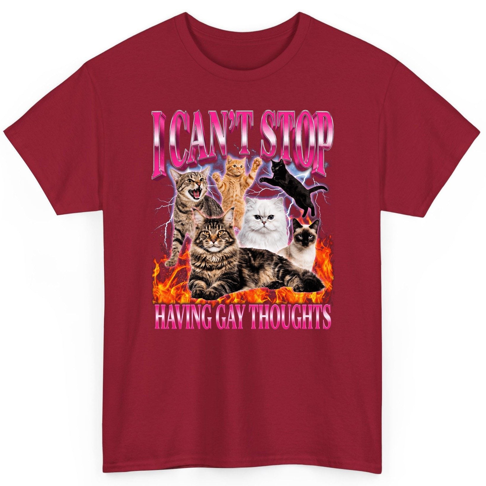 I Can't Stop Having Gay Thoughts cats T-Shirt Cardinal Red product mockup