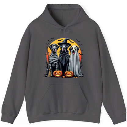 Halloween Dogs in Costumes Halloween dogs Hoodie Charcoal product mockup
