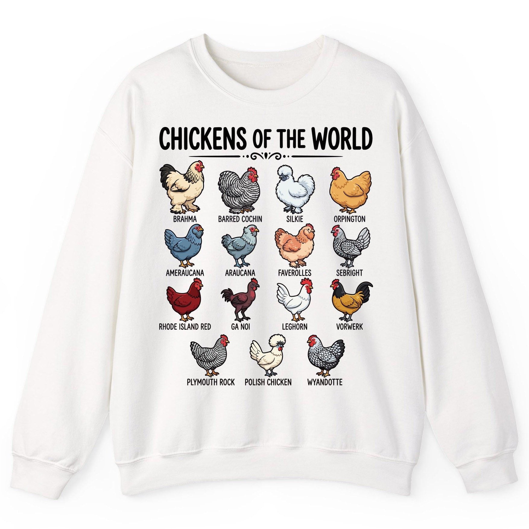 Breeds of the World, Brahma, Barred Cochin, Silkie, Orpington, Ameraucana, Araucana, Faverolles, Sebright, Rhode Island Red,