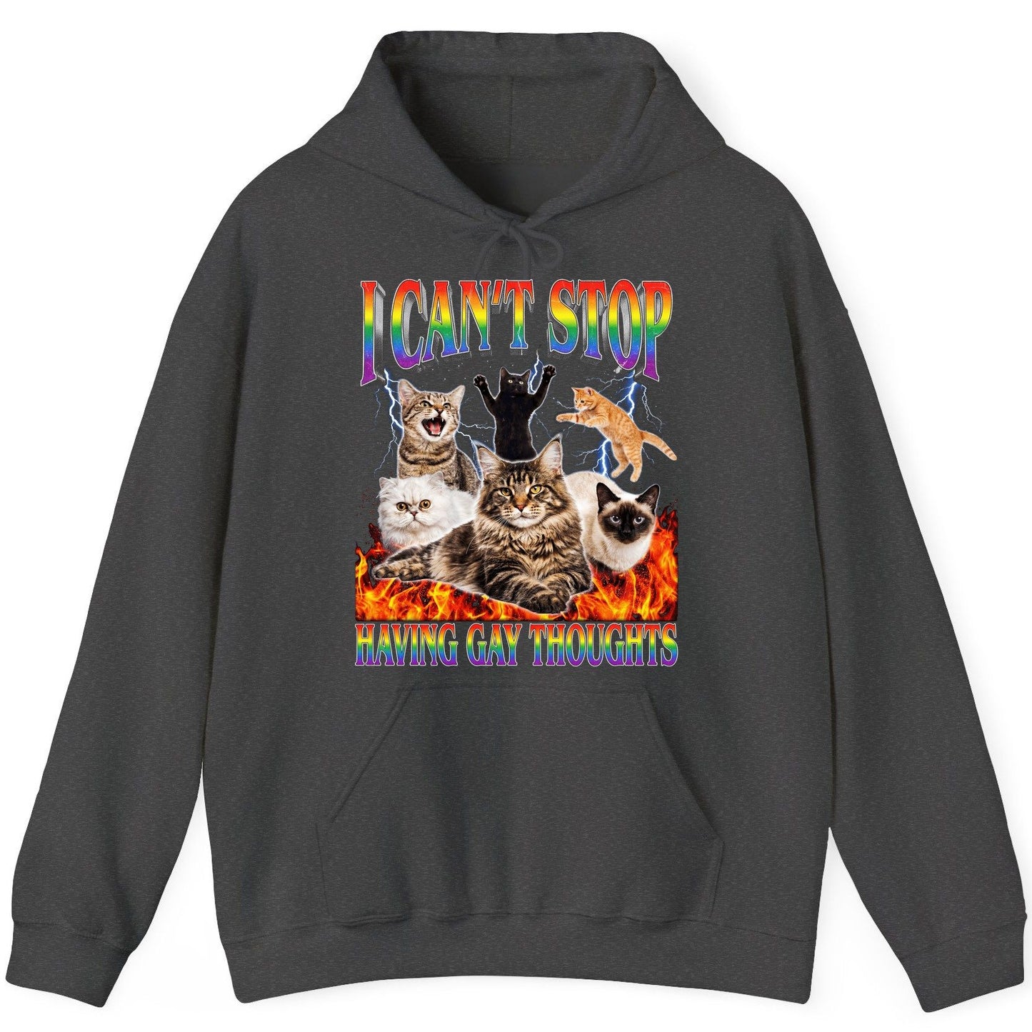 I Can't Stop Having Gay Thoughts cats Hoodie Dark Heather product mockup