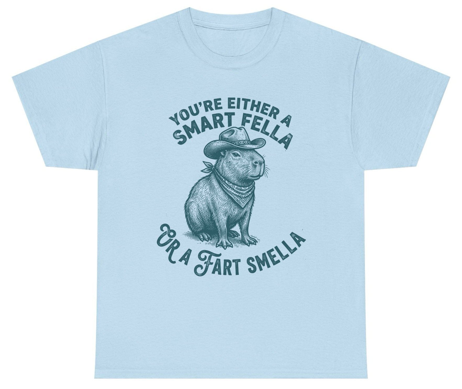 You're Either a Smart Fella or a Fart Smella capybara Youth T-Shirt Light Blue product mockup