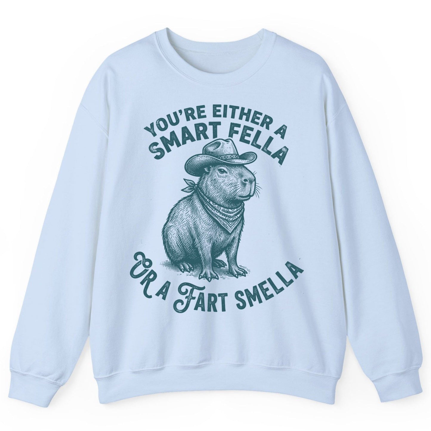 You're Either a Smart Fella or a Fart Smella capybara Sweatshirt Light Blue product mockup