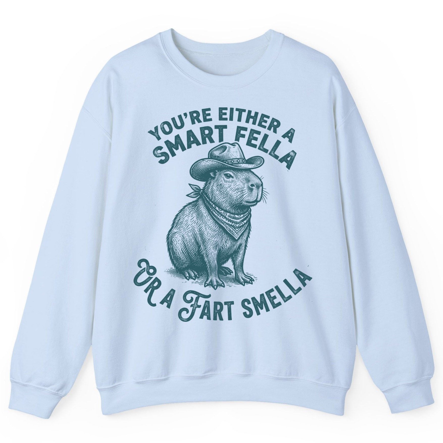 You're Either a Smart Fella or a Fart Smella capybara Sweatshirt Light Blue product mockup