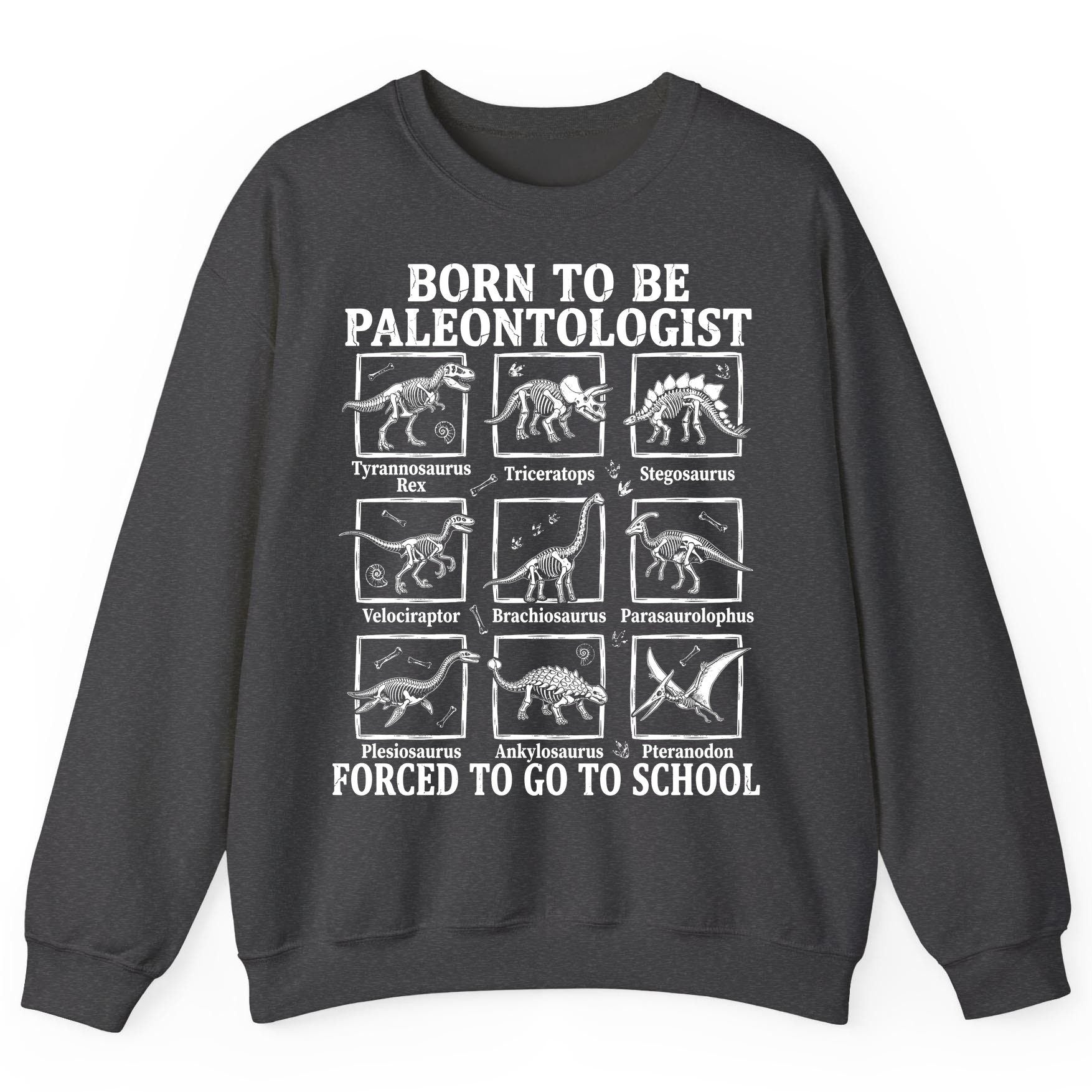 Born to Be Paleontologist Forced to Go to School dinosaurs Sweatshirt Dark Heather product mockup
