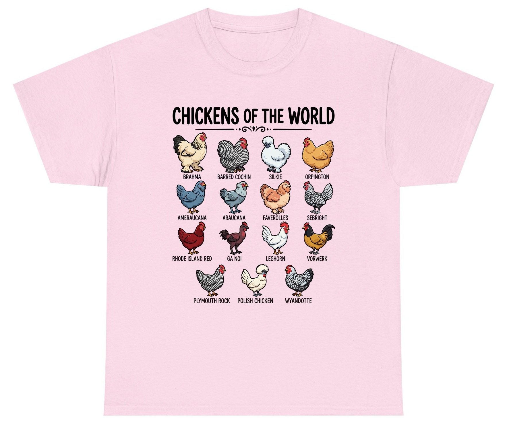 Breeds of the World, Brahma, Barred Cochin, Silkie, Orpington, Ameraucana, Araucana, Faverolles, Sebright, Rhode Island Red,