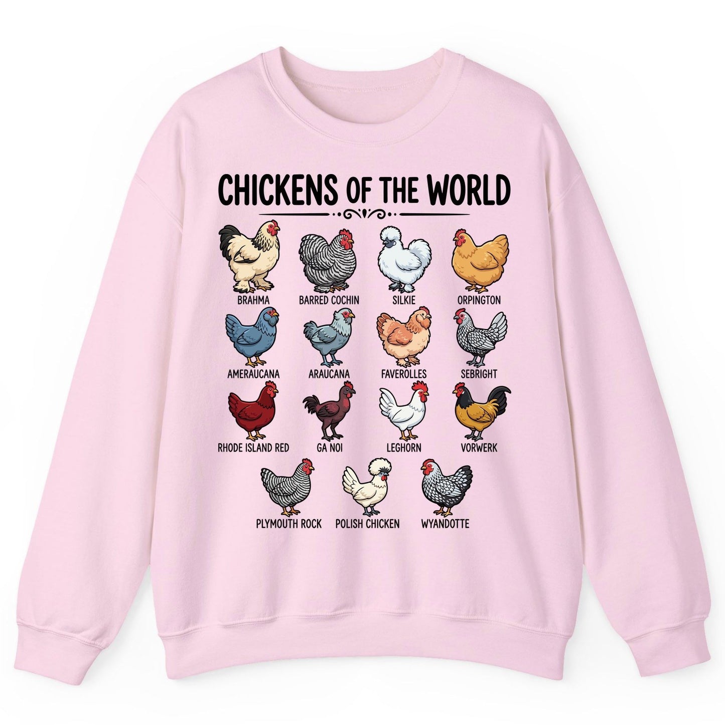 Breeds of the World, Brahma, Barred Cochin, Silkie, Orpington, Ameraucana, Araucana, Faverolles, Sebright, Rhode Island Red,