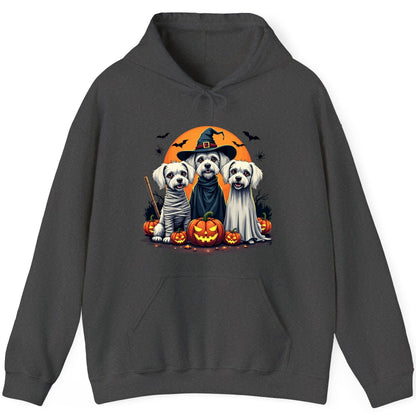 Halloween Dogs Costumes Halloween dogs Hoodie Dark Heather product mockup