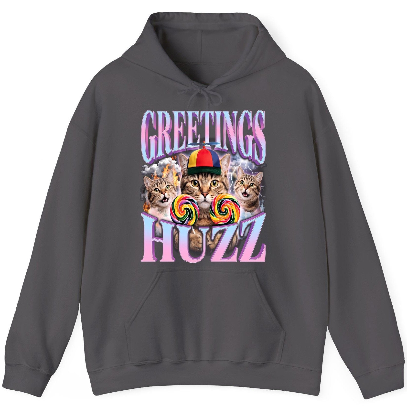 Greetings Huzz Funny Cats Hoodie - product mockup - Charcoal