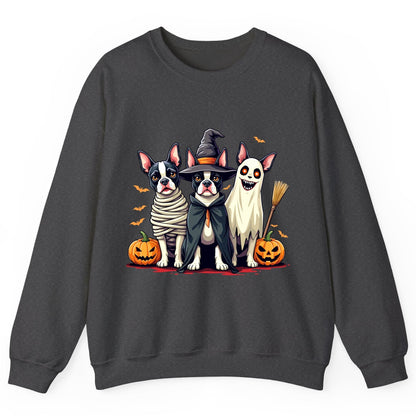 Halloween Boston Terrier Trio boston terrier Sweatshirt Dark Heather product mockup