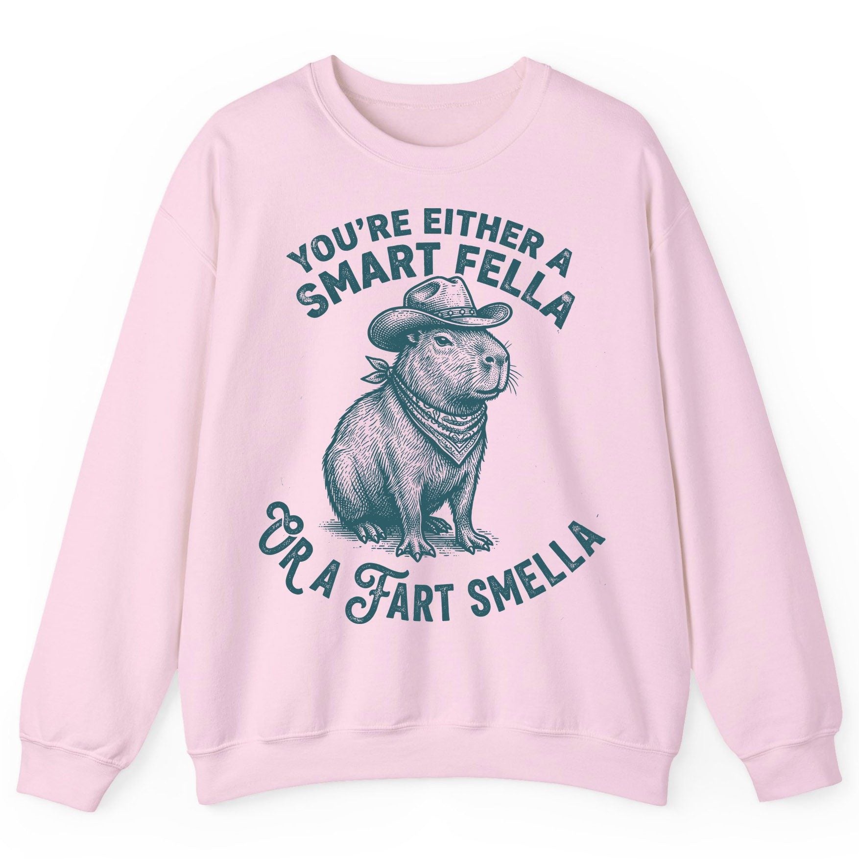 You're Either a Smart Fella or a Fart Smella capybara Sweatshirt Light Pink product mockup